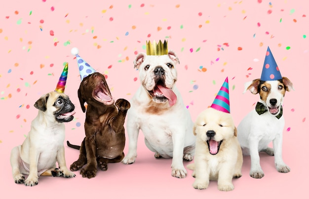 Group of puppies celebrating a new year