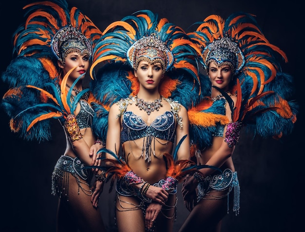 Free Photo group of a sexy girls in a colorful sumptuous carnival feather suit, posing on a dark background.