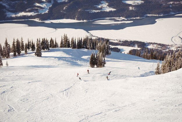 Group of skiers skiing in snowy alps