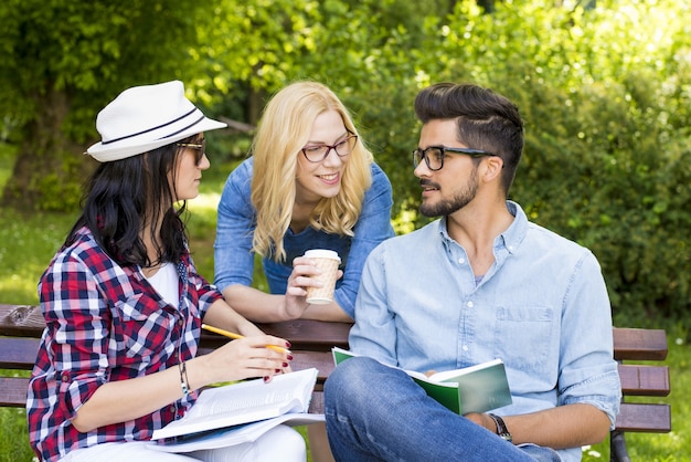 Group of young college students having fun while discussing homework on a park bench