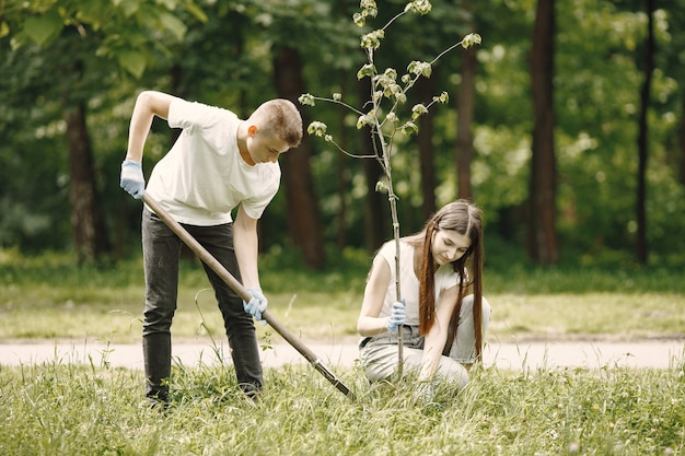 Group of young volunteers in park. They are planting a tree seedling.