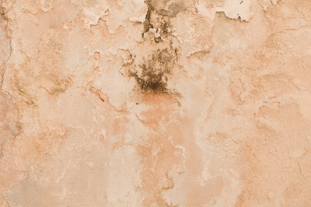 Free Photo grunge wall texture