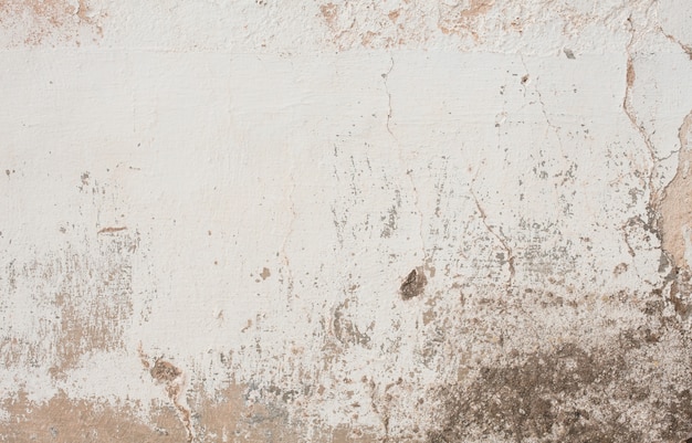 Free photo grunge wall texture