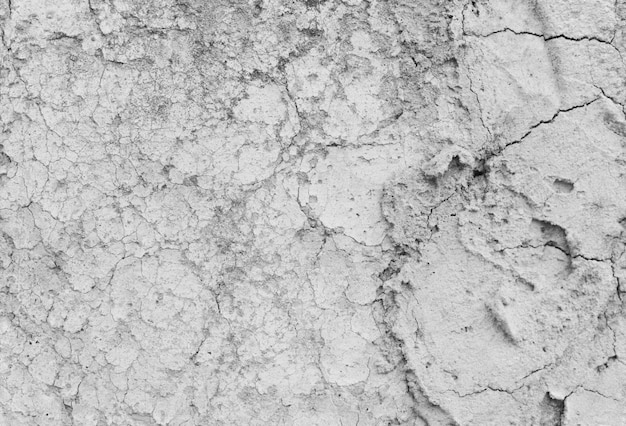 Free Photo grunge wall texture