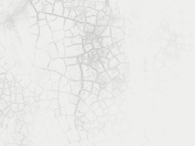 Free Photo grungy white background of natural cement or stone old texture