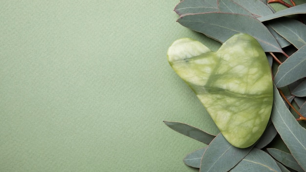 Gua sha and leaves arrangement flat lay