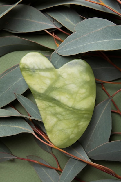 Free photo gua sha and leaves arrangement top view