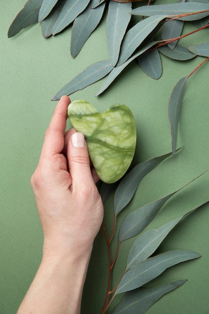 Gua sha and leaves arrangement above view