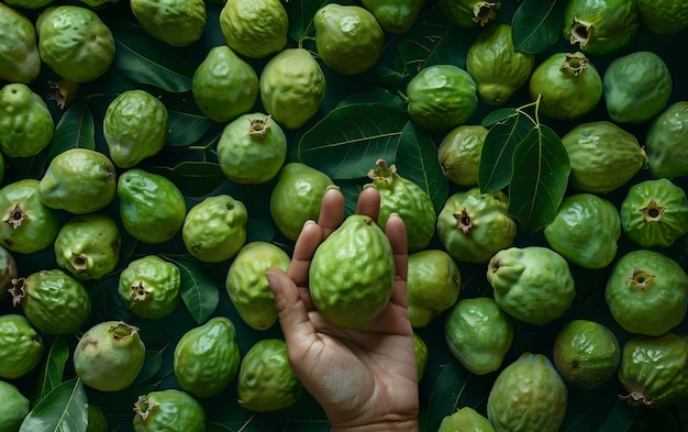 Free photo guava fruit still life