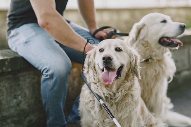 Free Photo guide dog helping blind man in the city. handsome blind guy have rest with golden retriever in the city.