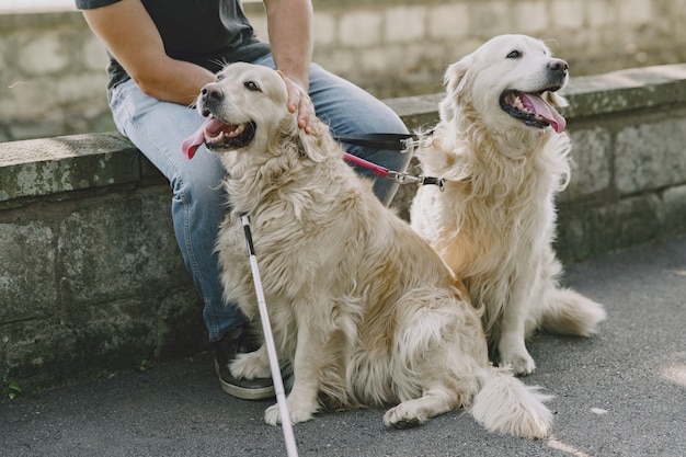 Free Photo guide dog helping blind man in the city. handsome blind guy have rest with golden retriever in the city.