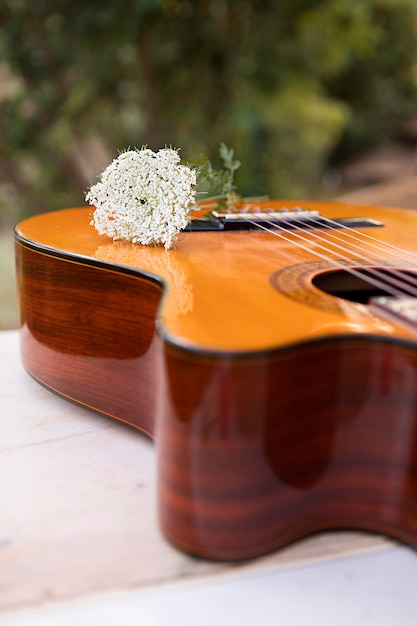 Free Photo guitar outdoors with flower on top