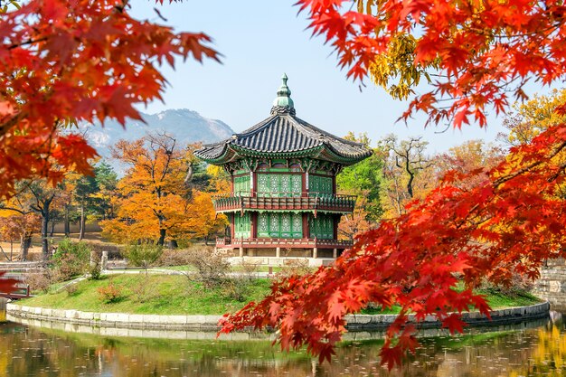 Gyeongbukgung and Maple tree in autumn in korea.