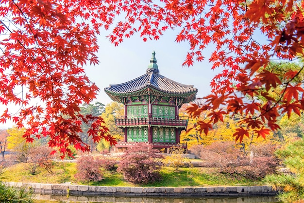 Gyeongbukgung and Maple tree in autumn in korea.