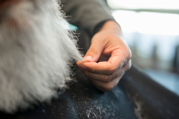 Free Photo hairdresser holding strand of gray hair client