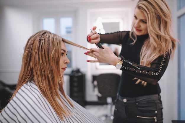 Hairstylist cutting hair of client