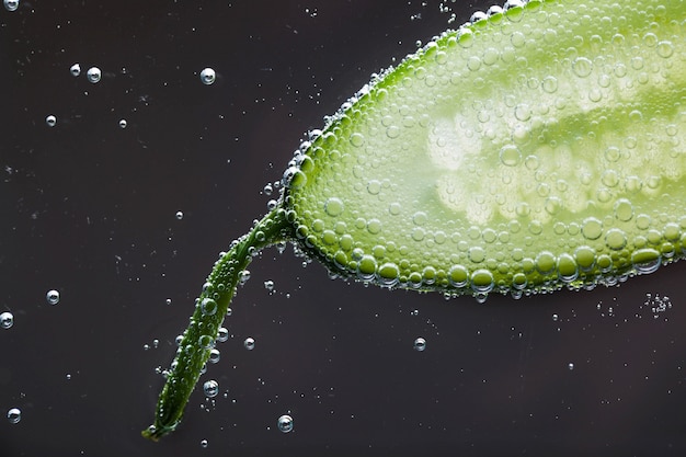 Free photo half of cucumber covered with air bubbles in water