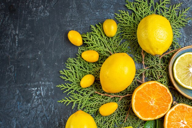 Half shot of collection of half and whole citrus fruits on fir branches on dark background