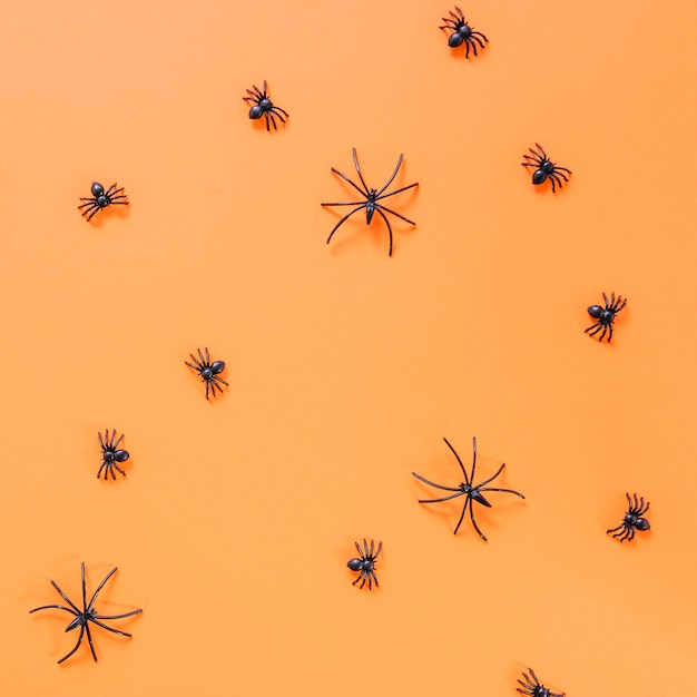 Halloween artificial spiders laid on surface