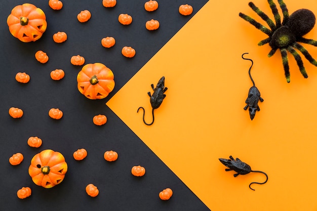 Free photo halloween background with rats and spider