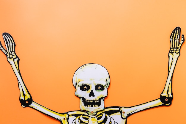 Free Photo halloween cardboard skeleton