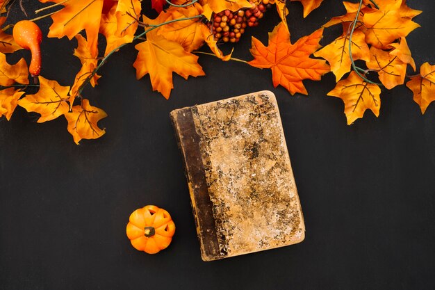 Halloween composition with book and leaves