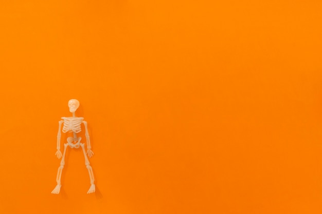 Halloween composition with single skeleton