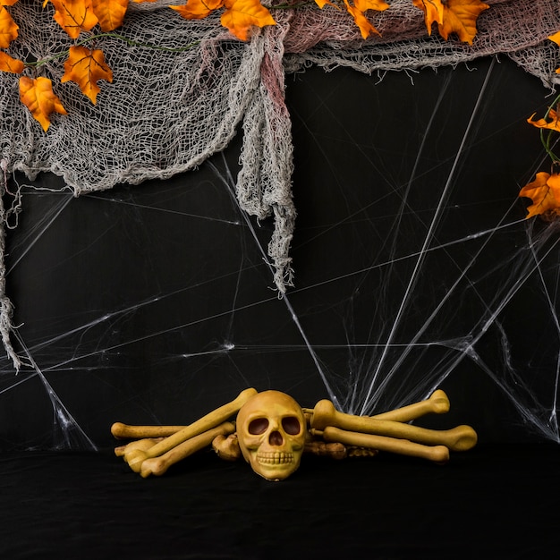 Free photo halloween composition with skull