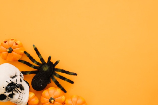 Free photo halloween composition with spider