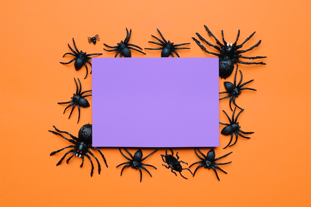 Free Photo halloween composition with spiders