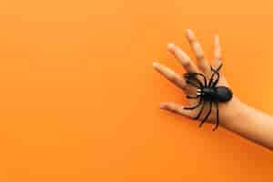 Free photo halloween concept with spider on hand