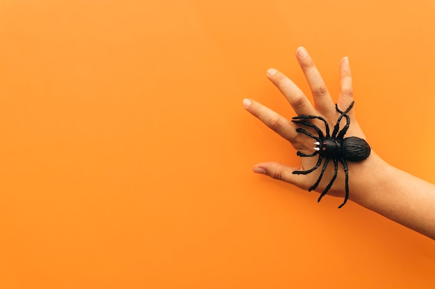 Free Photo halloween concept with spider on hand