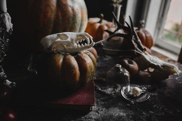 Free photo halloween decor. old pumpkins, pomegranates, apples