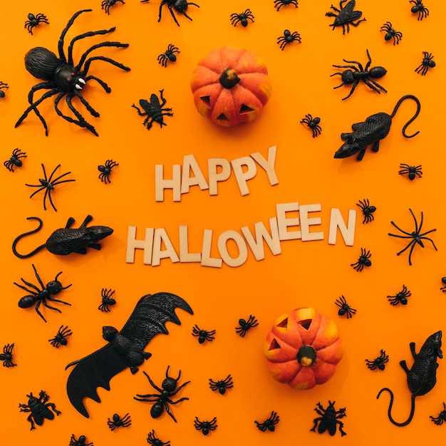 Halloween decoration with pumpkins and insects