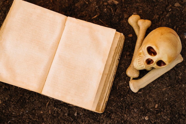 Free Photo halloween decoration with skull and book