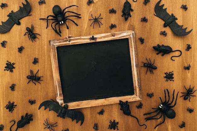 Free photo halloween decoration with slate and insects