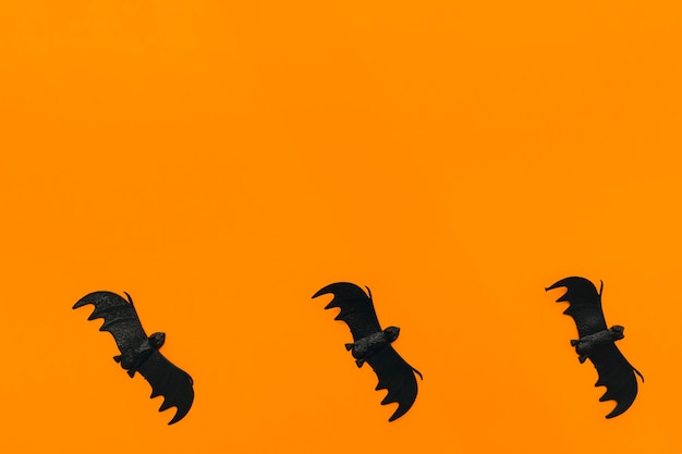 Free Photo halloween decoration with three bats