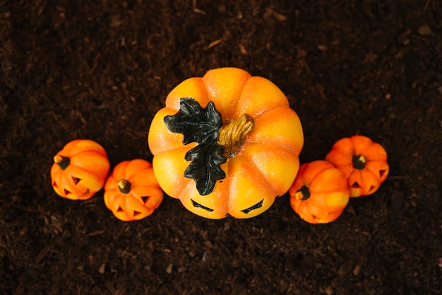 Free photo halloween decoration with top view of pumpkins