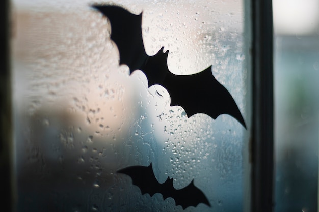 Free Photo halloween paper bats on window