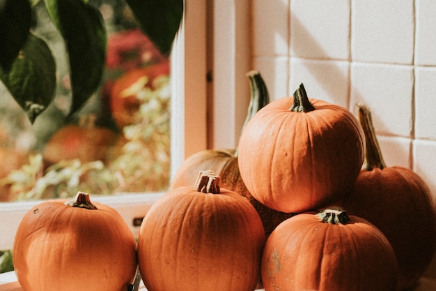 Free Photo halloween pumpkin pile close up background