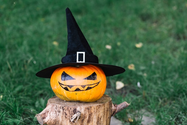 Free Photo halloween pumpkin with hat on stump 