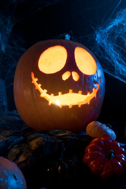 Free Photo halloween pumpkin with spiderweb