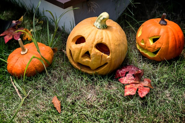 Halloween pumpkins and decorations in the backyard