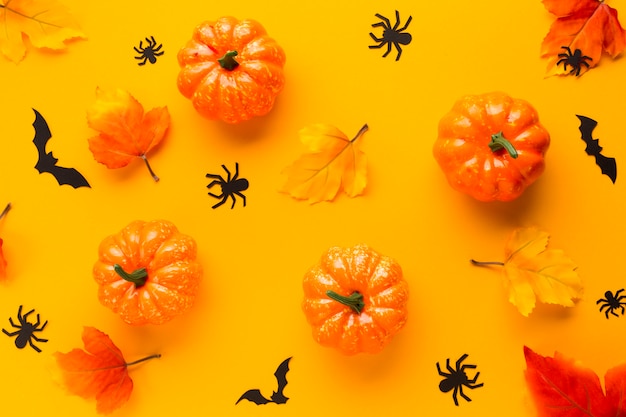 Halloween pumpkins with leaves and spiders