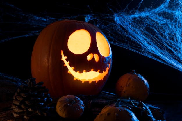 Free photo halloween pumpkins with spiderweb