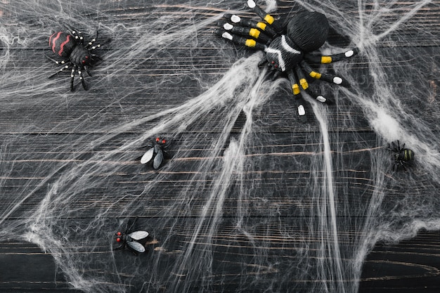 Free Photo halloween spiders and flies in spiderweb