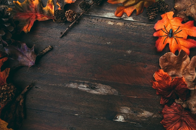 Free photo halloween wooden table with colorful leaves