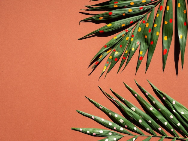 Halves of fern branches with copy space background