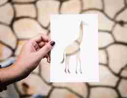 Free photo hand hold giraffe paper carving