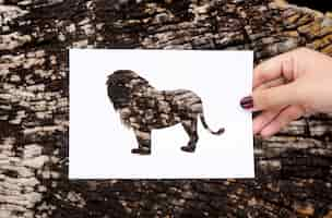 Free photo hand hold lion paper carving with wooden background